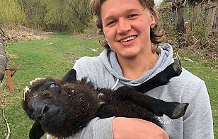 Лучшему снайперу чемпионата КХЛ подарили овцу на день рождения