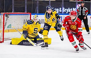 Никита Толопило отразил 25 бросков в матче плей-офф второго дивизиона чемпионата Швеции