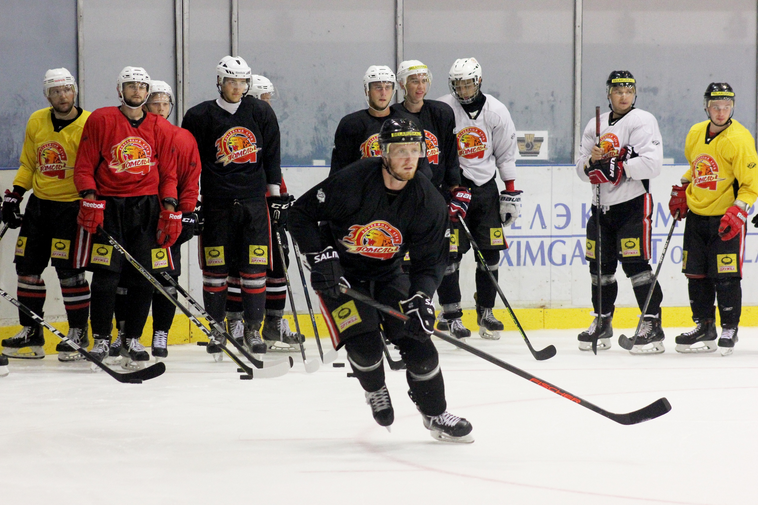 валерий тетерюков хк "гомель". михаил хоккей гомель. беларусь хоккейная лига. хоккей беларусь гомель. хоккей беларусь гомель.